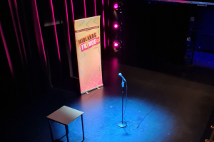 Midland Fringe 2025 – A kind of review